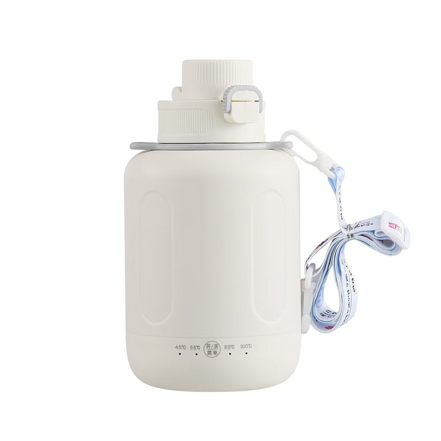 Bollitore riscaldante da viaggio portatile da 600 ml a prova di perdite per uso in viaggio
